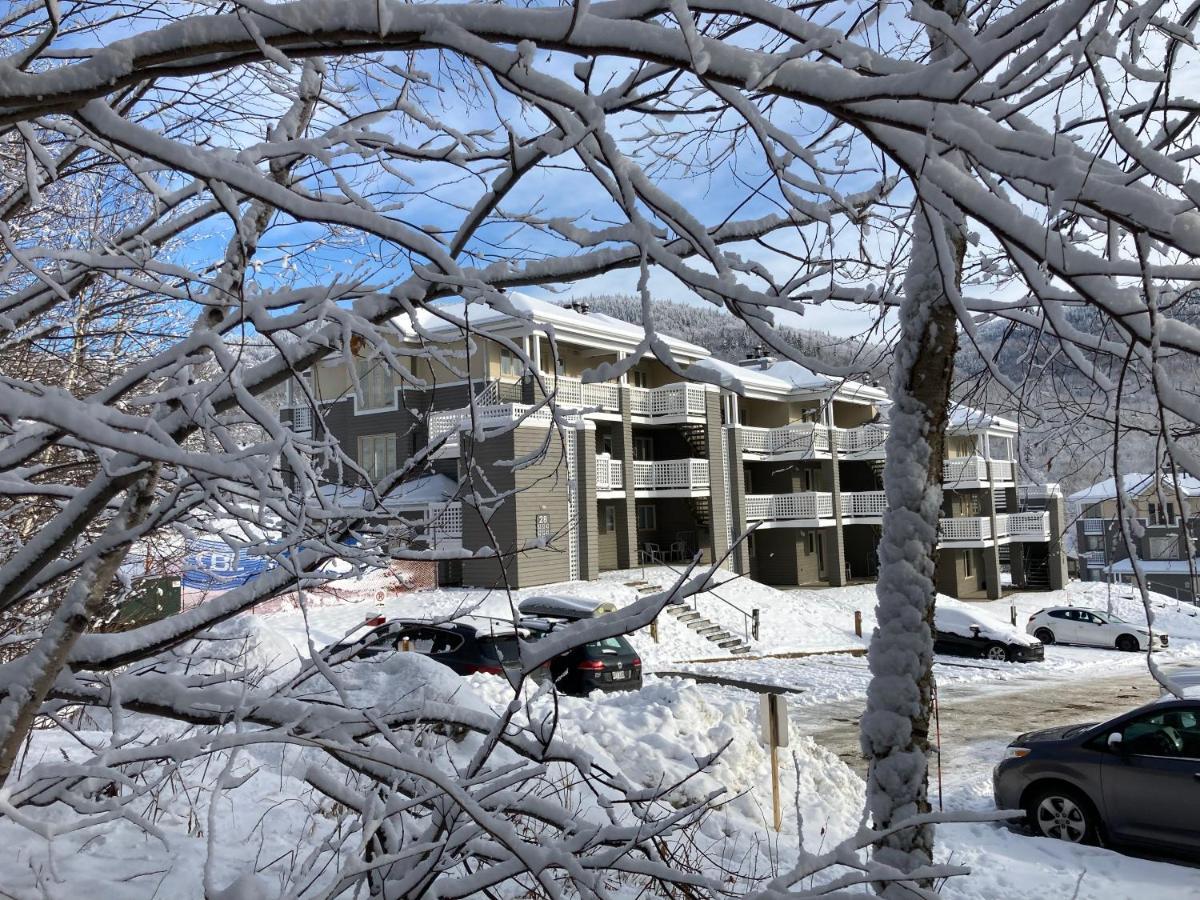 斯托纳姆Ski-In, Ski-Out Chaleureux Studio Loft Au Pied Des Pistes De Ski公寓 外观 照片