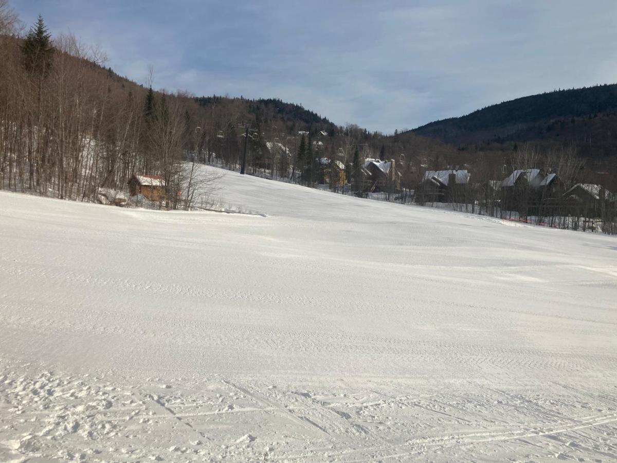 斯托纳姆Ski-In, Ski-Out Chaleureux Studio Loft Au Pied Des Pistes De Ski公寓 外观 照片