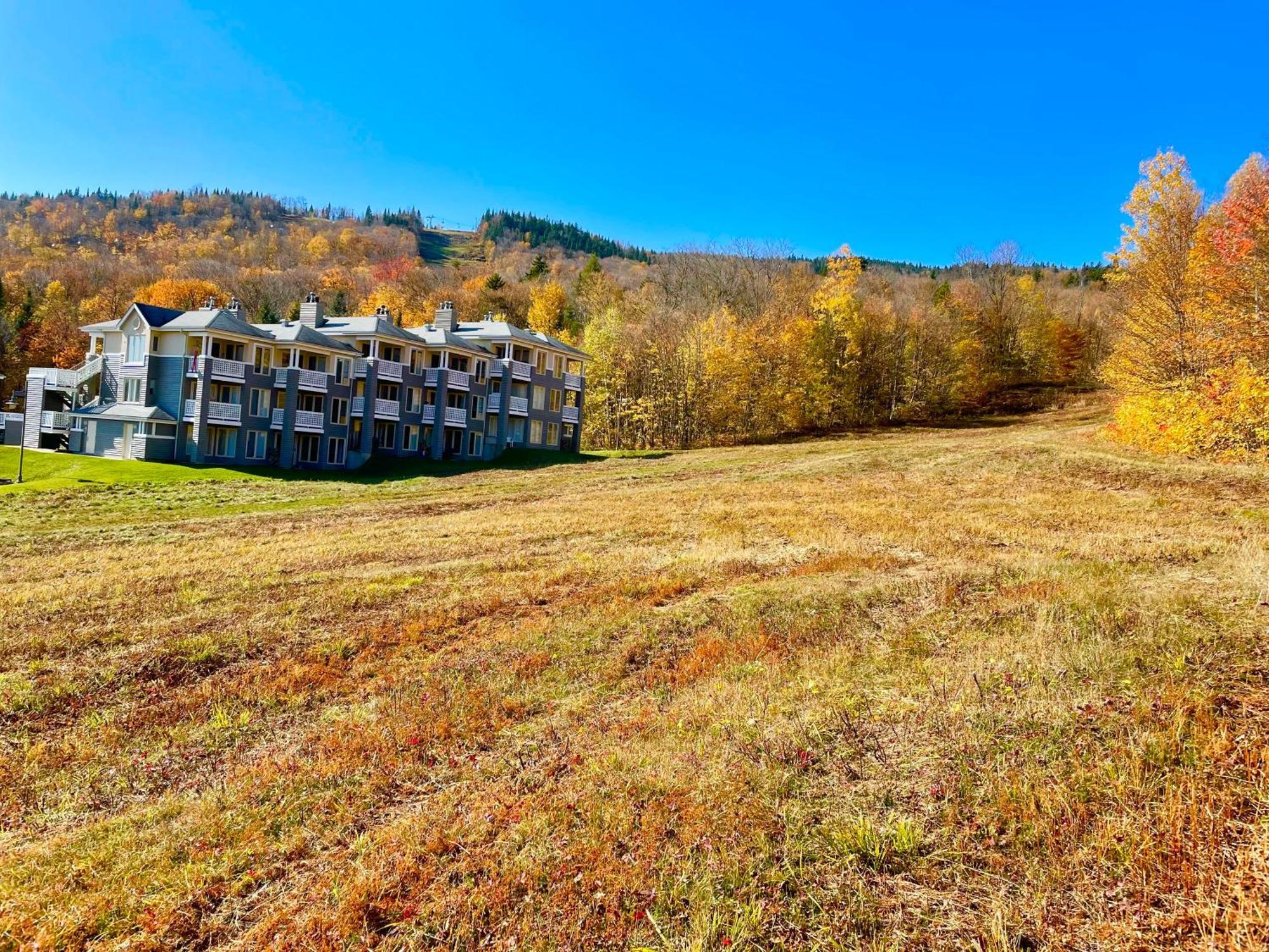 斯托纳姆Ski-In, Ski-Out Chaleureux Studio Loft Au Pied Des Pistes De Ski公寓 外观 照片