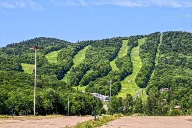 斯托纳姆Ski-In, Ski-Out Chaleureux Studio Loft Au Pied Des Pistes De Ski公寓 外观 照片